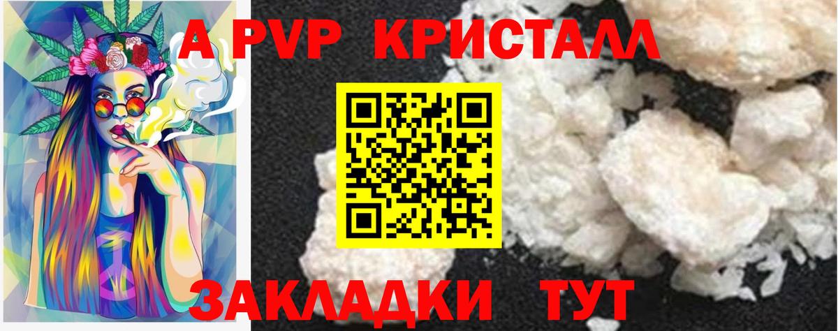 Alfa_PVP СК КРИС Сокол