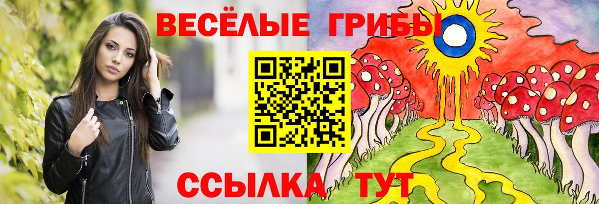Псилоцибиновые грибы Psilocybine cubensis  Псилоцибиновые грибы прущие грибы  Сокол  Вход с VPN 